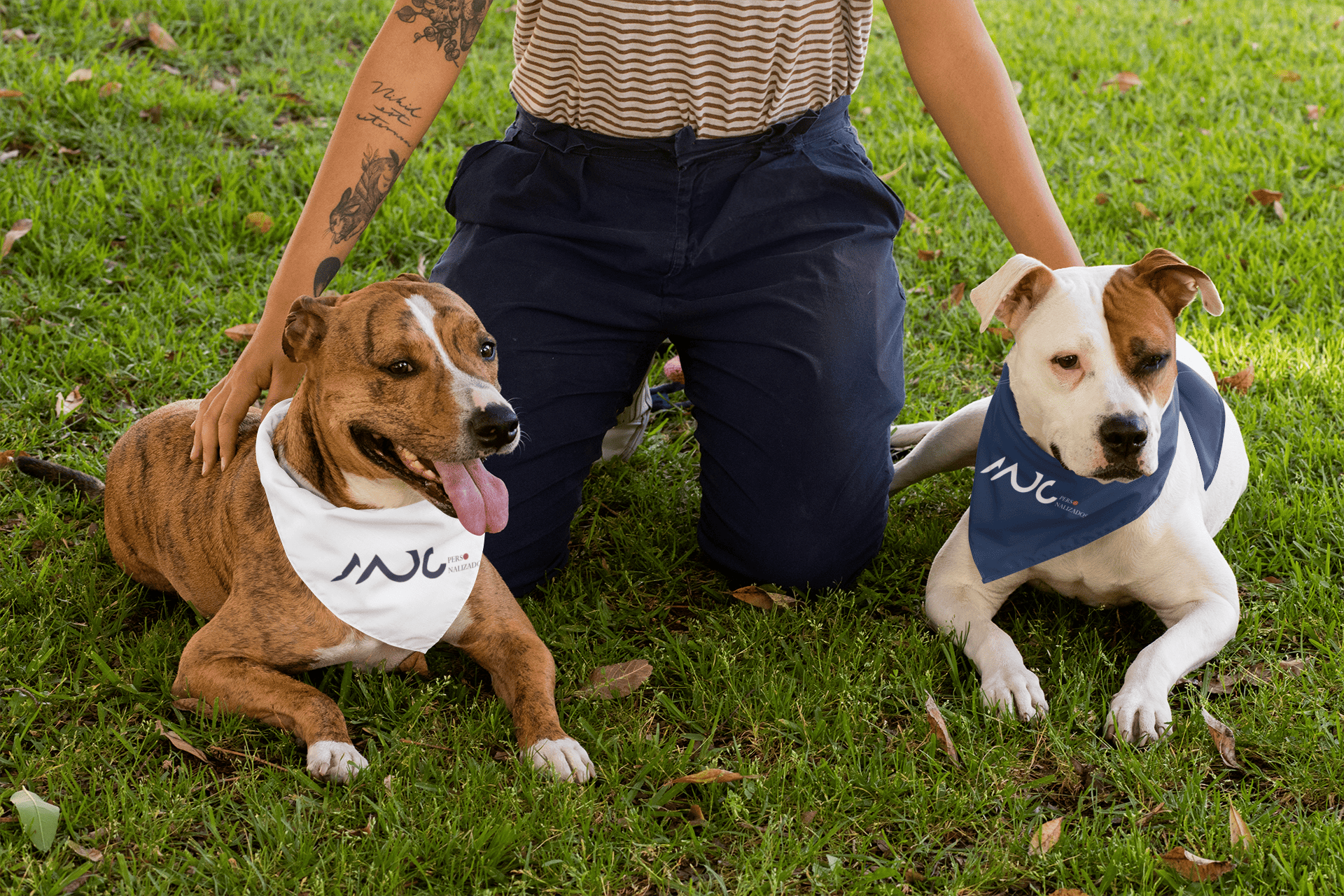 pet com bandana