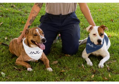 🐾 Brindes Corporativos Pet-Friendly: Como Conquistar Clientes e Seus Pets